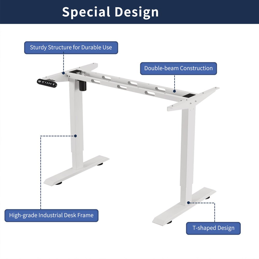 55'×24' Light Oak Electric Standing Desk — product view 8