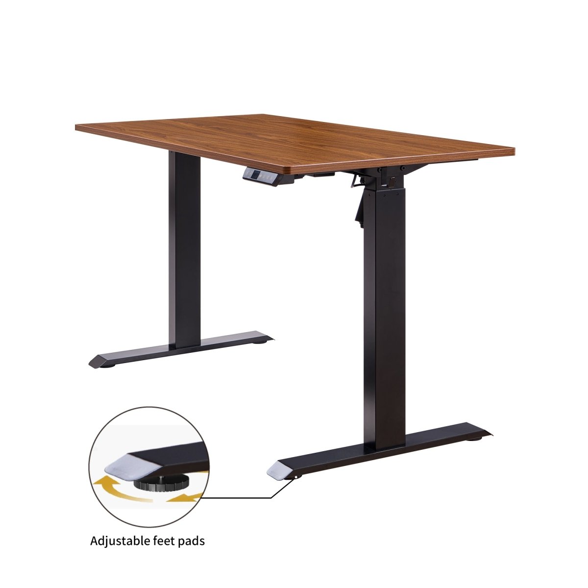 Empty electric standing desk with one-piece walnut-look top